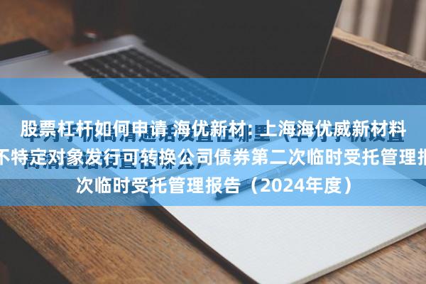 股票杠杆如何申请 海优新材: 上海海优威新材料股份有限公司向不特定对象发行可转换公司债券第二次临时受托管理报告（2024年度）