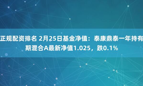 正规配资排名 2月25日基金净值：泰康鼎泰一年持有期混合A最新净值1.025，跌0.1%