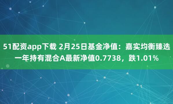 51配资app下载 2月25日基金净值：嘉实均衡臻选一年持有混合A最新净值0.7738，跌1.01%