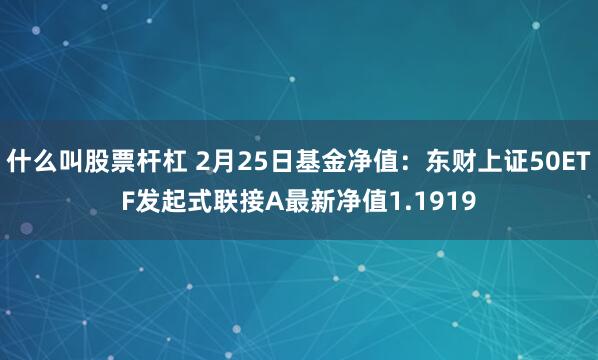 什么叫股票杆杠 2月25日基金净值：东财上证50ETF发起式联接A最新净值1.1919