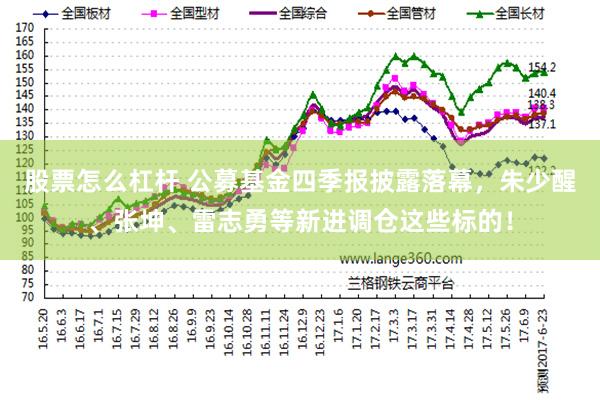 股票怎么杠杆 公募基金四季报披露落幕，朱少醒、张坤、雷志勇等新进调仓这些标的！