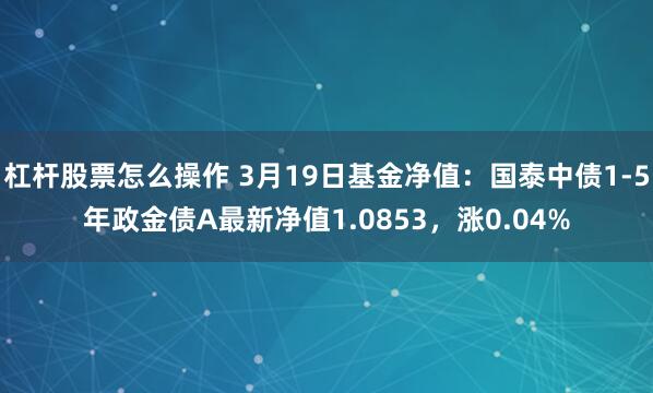 杠杆股票怎么操作 3月19日基金净值：国泰中债1-5年政金债A最新净值1.0853，涨0.04%