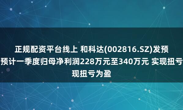 正规配资平台线上 和科达(002816.SZ)发预盈,预计一季度归母净利润228万元至340万元 实现扭亏为盈
